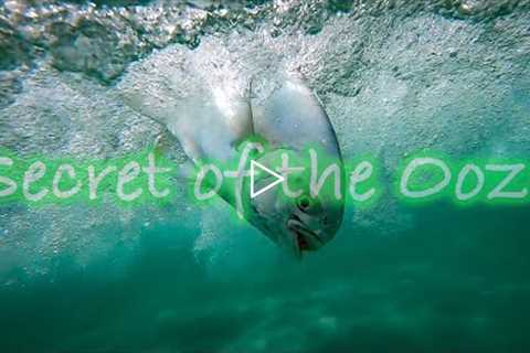 Secret of the Ooze | Can a 8 weight Catch Pompano And Redfish | Surf Fly Fishing Pompano &..