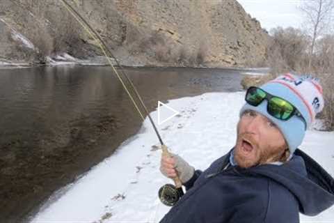 trout fly fishing tips for saltwater anglers