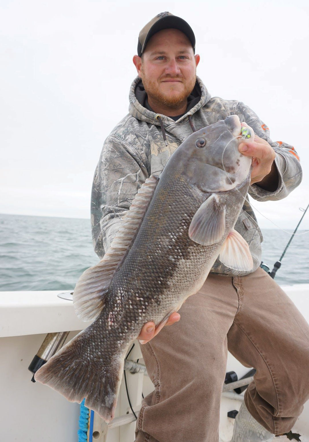 Break Away From Big Structure for Big Tautog
