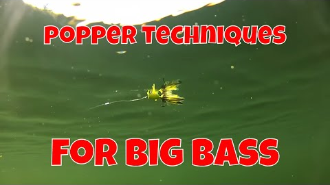 FLY FISHING TECHNIQUES FOR BIG BASS