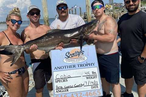 Long Island’s Unofficial Race for a 100-Pound Cobia