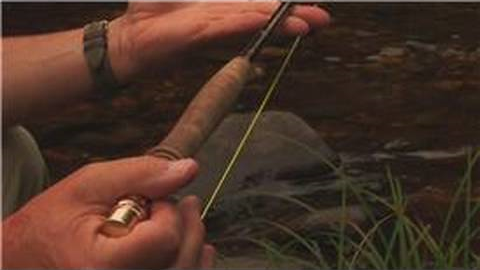 Fly Fishing Tips : Fly Fishing Equipment for Beginners