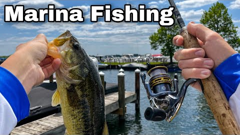 Lake Minnetonka Marina Bass Fishing- Jigs & Senkos