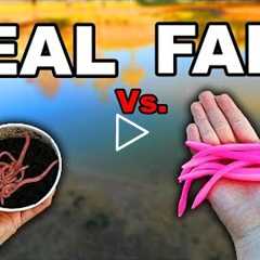 LIVE BAIT vs FAKE LURE Fishing Challenge (Worms)