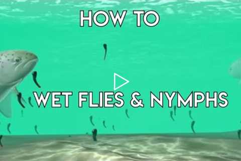 Using Wet Flies & Nymphs - How To