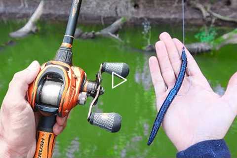 Catch 15x MORE Bass - TRY THIS! (Bass Fishing Tips)