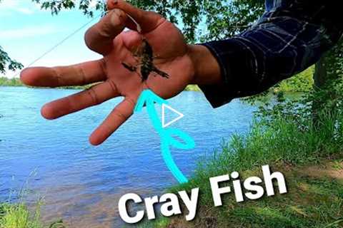 How to Use Crayfish to Catch BASS | Watch How Quickly the Fish Bit