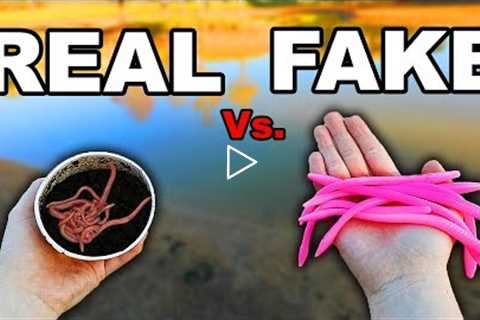 LIVE BAIT vs FAKE LURE Fishing Challenge (Worms)