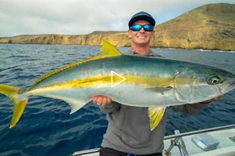 HUGE California Yellowtail! Catch Clean Cook (California Deep Sea Island Fishing)