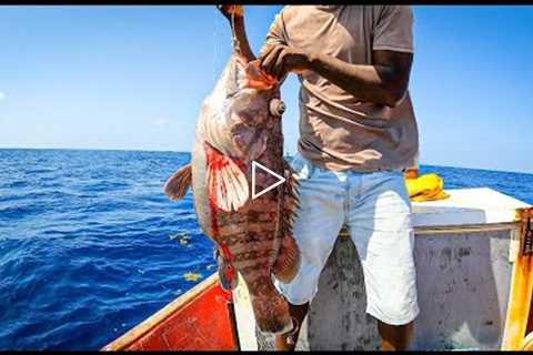 GIANT GROUPER DEEP SEA FISHING | CATCH, COOK & SELL