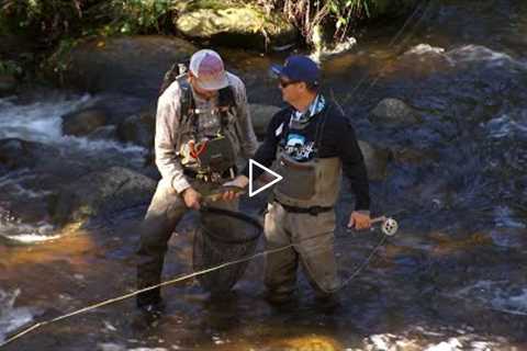 IFISH - Fly Fishing basics in Victorian High Country ! #SIMPLE