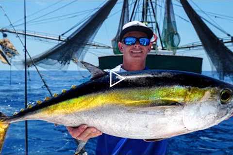 GIANT Tunas by SHRIMP Boats! Catch Clean Cook (Gulf of Mexico Deep Sea Fishing)