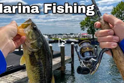 Lake Minnetonka Marina Bass Fishing- Jigs & Senkos