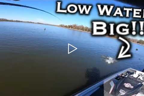 Lake Fork Winter Bass Fishing Tips: Complete Guide To Low Water Conditions For Giant Bass!!!