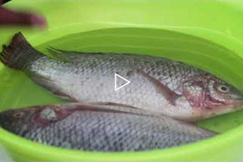 How to properly clean,prepare and cook fresh Tilapia fish- essie cooks