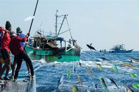 Fast Commercial Classic Tuna Fishing Videos. Line Fishing Catching Too Many Fish Tuna on The Sea