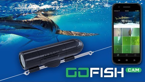 GoFish Cam HD Fishing Action Camera - Capture footage in 1080p - 60fps