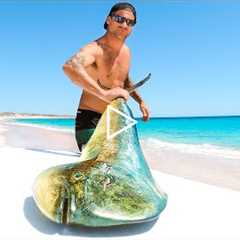 Giant Mahi Mahi Fish Catch And Cook
