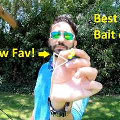 Big Bear Lake Fishing MADE EASY! The BEST New Setup For Catching Trout! Catch & Cook Rainbow..
