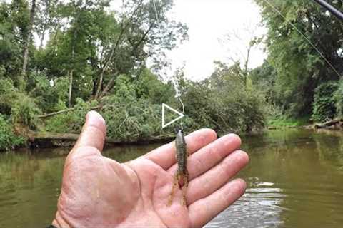 THIS Fishing Lure Is ABSOLUTE MADNESS!!! (I Caught LOADS Of Fish!)