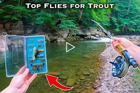 The BEST Flies for Trout || Fly Fishing for Beginners (Streamers, Nymphs, Dry Flies)