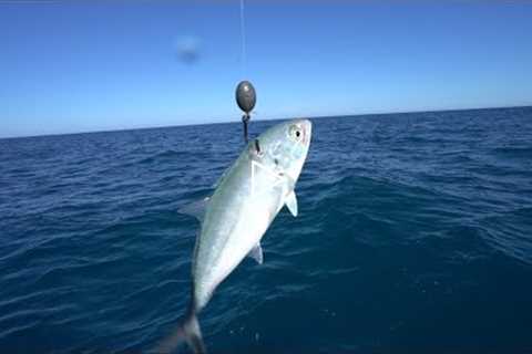 Deep Sea Fishing For Giant Mystery Fish