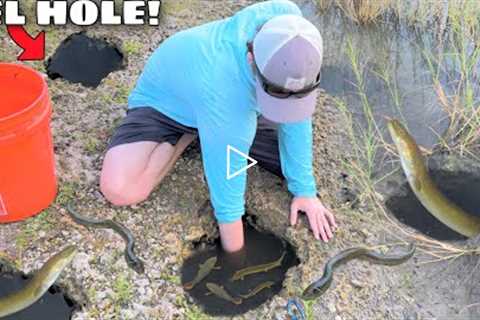 Hand Fishing For EELS in DEEP HOLES!