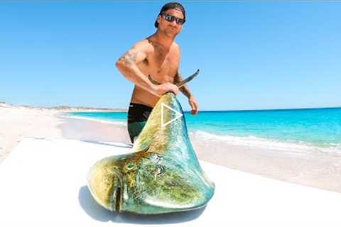 Giant Mahi Mahi Fish Catch And Cook