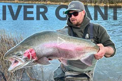 Fly Fishing Giant Trout on One of Kind River!