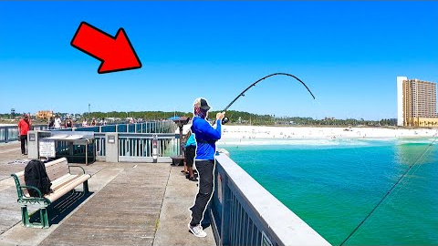 I Got The PIER Fish I’ve been After! (Catch, Clean, & Cook)