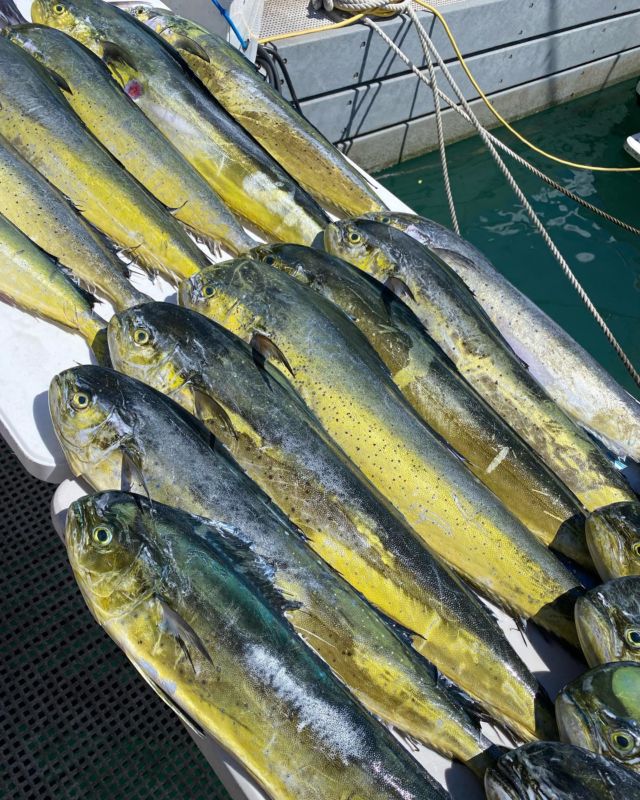 12 Deep Sea Fishing Tips & Tricks
