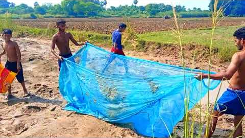 🐋🐋 Unique Catching Fish With Jal & How To Cook Fish |  मछ्ली पकड़ने का तरीका जाल से | @Kaal Fisher