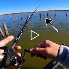 Which Stumps Should I Fish For Bass? Fishing Lake Fork (Practice Breakdown)