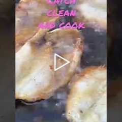 Catch, Clean and Cook Fish #shorts