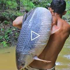 Amazing! Cooking Biggest Fish 26.5kg in Forest Eat to Survival