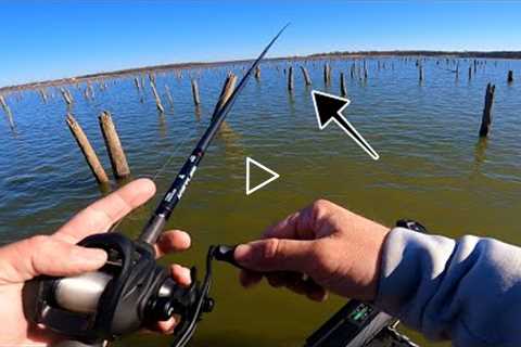 Which Stumps Should I Fish For Bass? Fishing Lake Fork (Practice Breakdown)