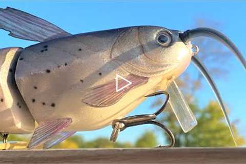 Catching Fish On The CatFish SwimBait PLUS Lure Making Testing Talking