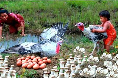 Survive Women - Son & Mother Catch fish looking at big turkey and egg - cooking Mushrooms..