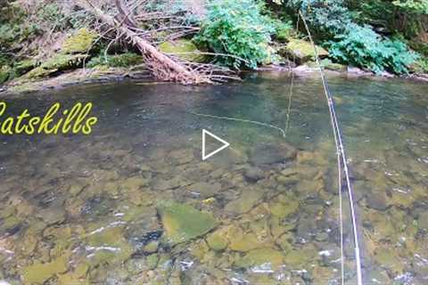 Fly Fishing the CATSKILLS (East Branch Delaware & Willowemoc)