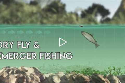 Dry Flies & Emergers - How to Use