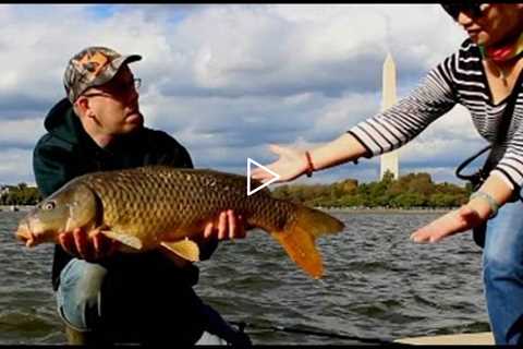 35 Fishing Fails, Bloopers and Funny Fishing Videos from the Catfish & Carp