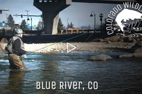 Blue River Fly Fishing