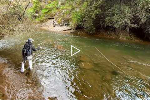 Tips for Fly Fishing High Water