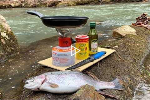 Creek Side TROUT CATCH and COOK