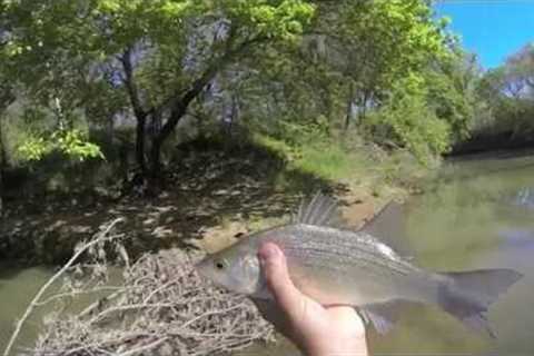 Spring Sand Bass Fly Fishing 2013