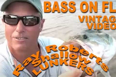 Shallow Bass on fly - Summer on Lake Ray Roberts Texas