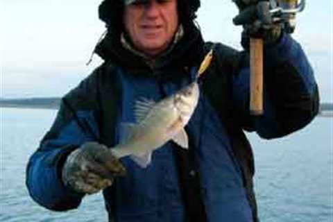 Winter White Perch Fishing
