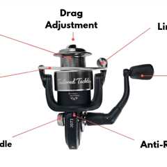 How to Use a Spinning Reel: Learn to Spool, Cast and Service a Reel
