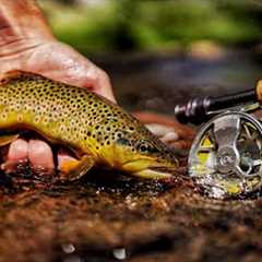 THE ESCAPE: A FLY FISHING FILM (Part 1)