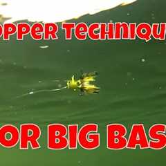 FLY FISHING TECHNIQUES FOR BIG BASS